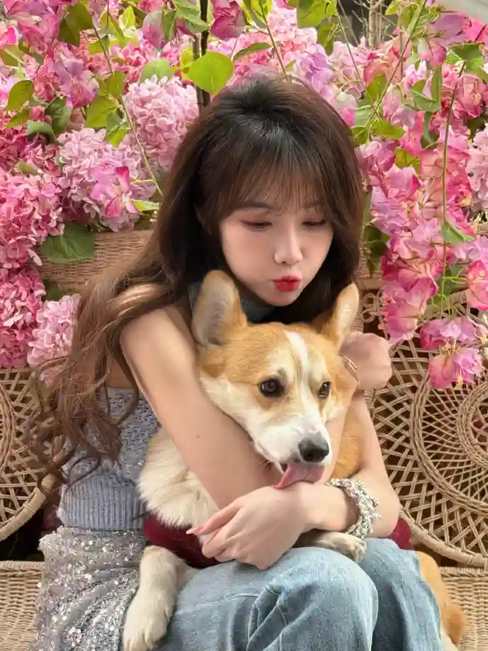 辽宁棋牌下载界面